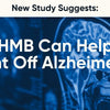 New Study Investigates: Can HMB Help Combat Alzheimer’s?