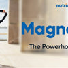 The Importance of Magnesium in Your Daily Supplement Routine