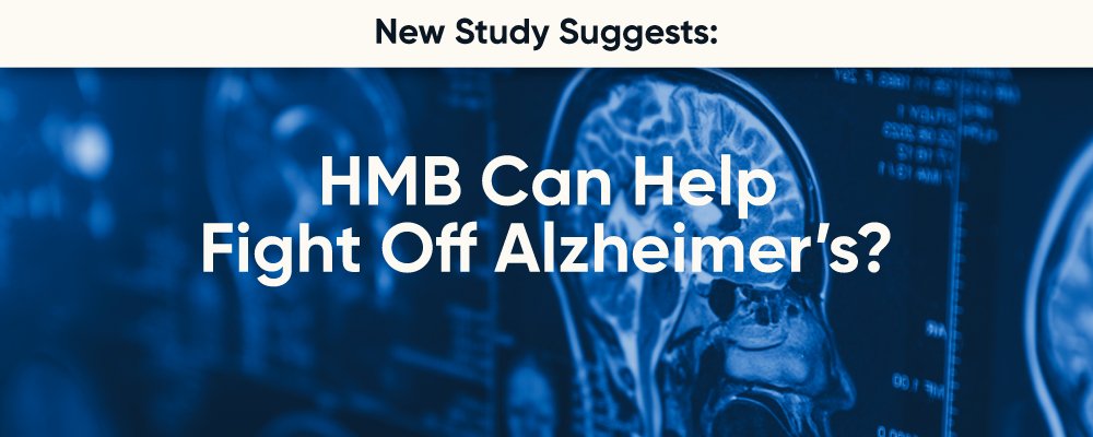 New Study Investigates: Can HMB Help Combat Alzheimer’s?