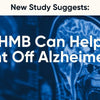 New Study Investigates: Can HMB Help Combat Alzheimer’s?