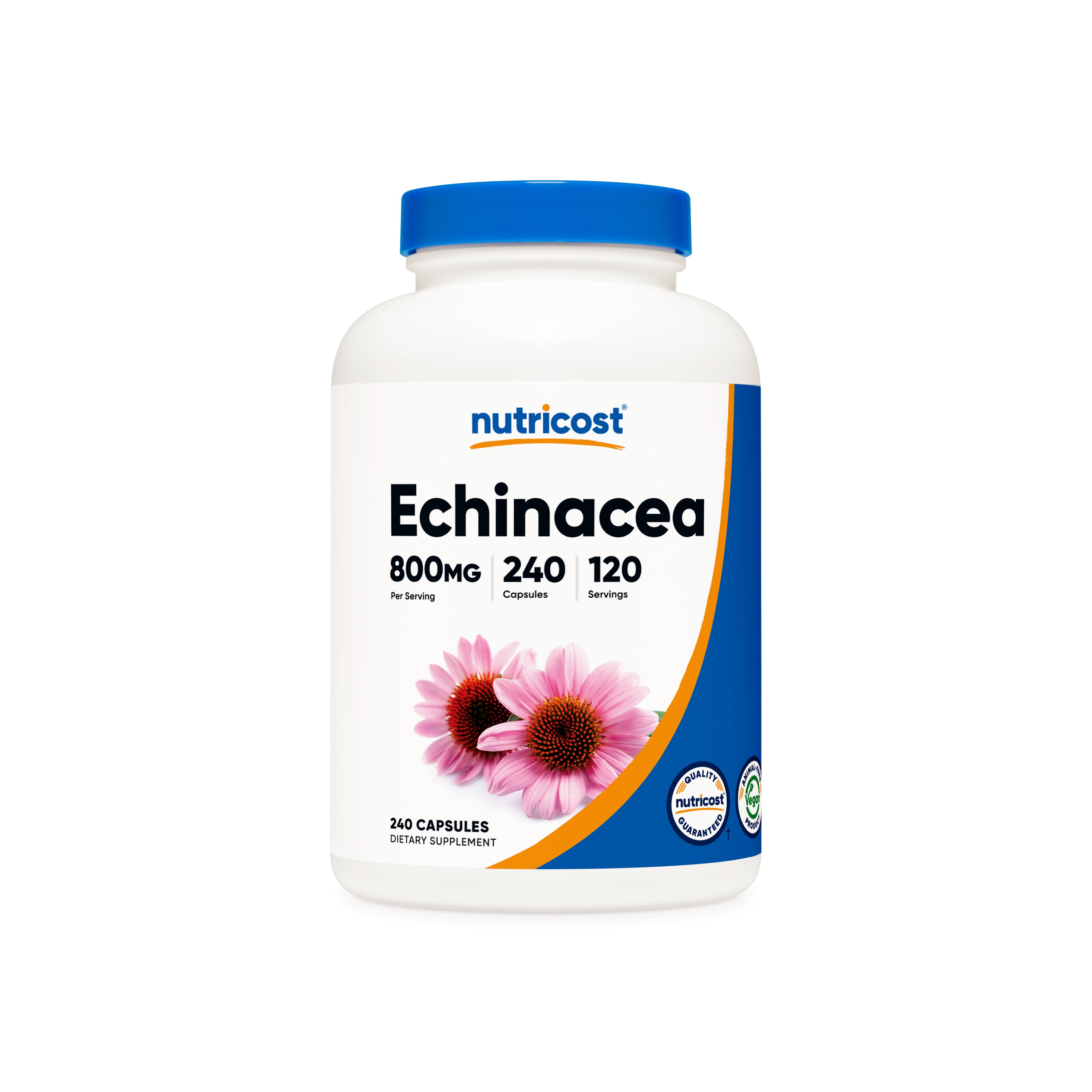 Onto Fitness Vitamins and Supplements
